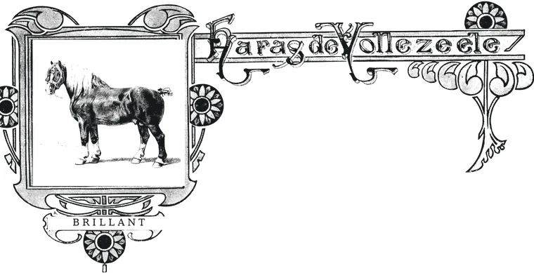 Het embleem van het Haras de Vollezeele, met Brillant in de omkadering